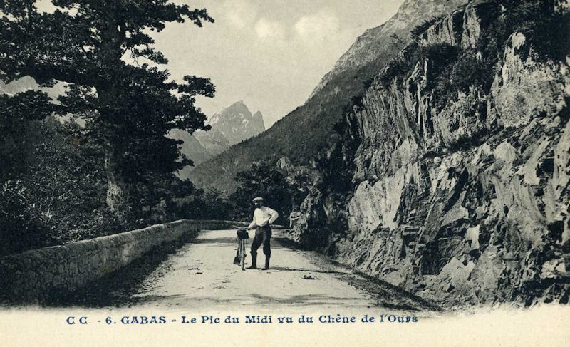 chene
