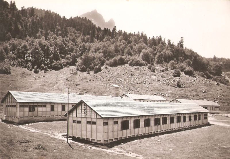 cantine