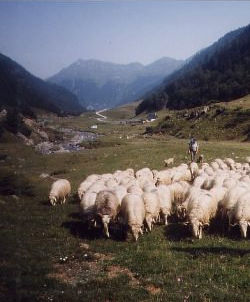 Cujala de Séous, photo B cauhapé