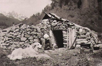 cabane